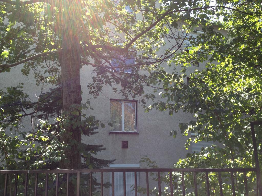 Platan Apartman — Photos 1