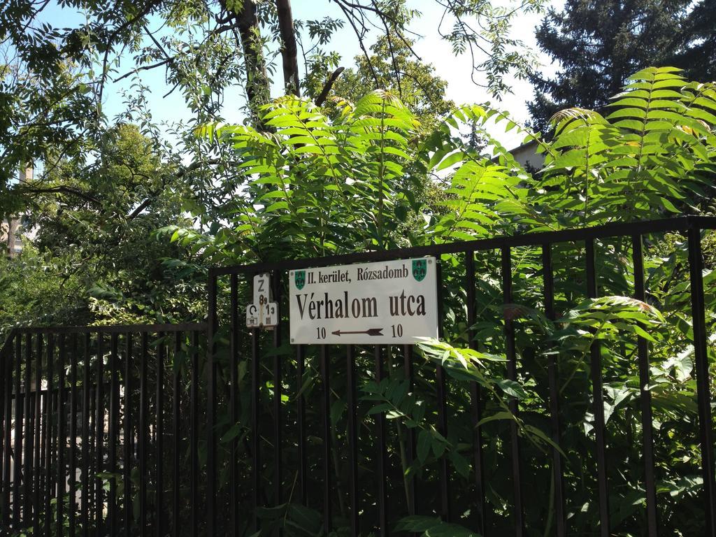 Platan Apartman — Photos 3