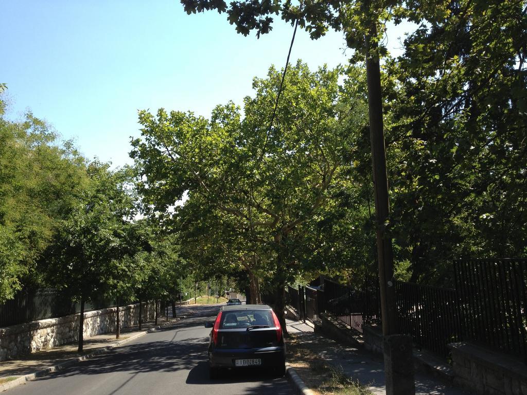 Platan Apartman — Photos 2